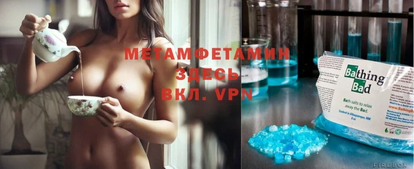 индика Инсар