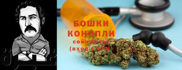 гидропоника Гусь-Хрустальный