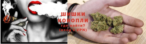 гидропоника Гусь-Хрустальный