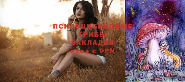 ALPHA-PVP Гусев