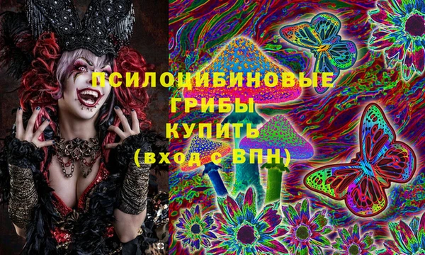 гидропоника Гусь-Хрустальный