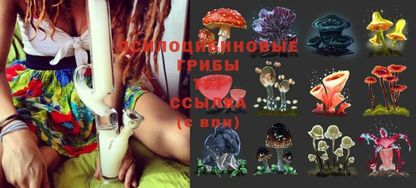 гидропоника Гусь-Хрустальный