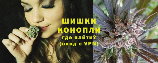ALPHA-PVP Гусев